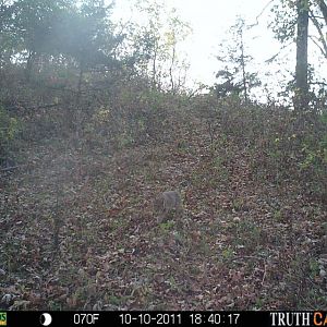 trail cam at luckdrawhunts