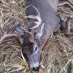 2011 Buck