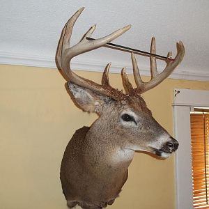 2011 bow buck mount