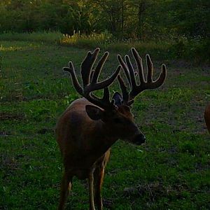 Shed Hunting Hit List 2012
