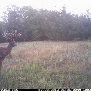 2012 Trail Camera Pictures