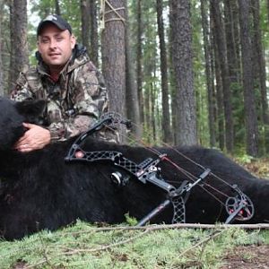 2012 Black Bear