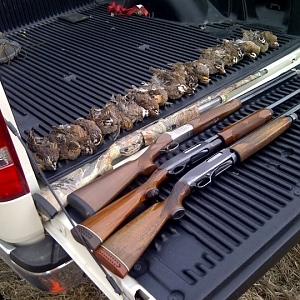 Iowa bird hunting