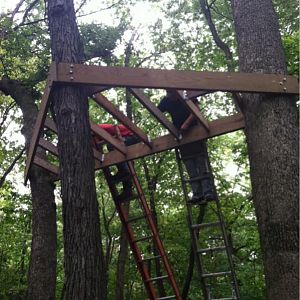 Hotel in the trees