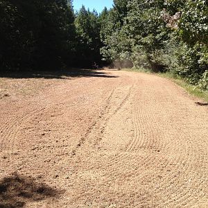 Food Plots