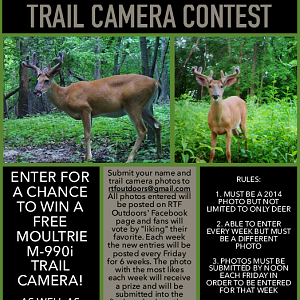 trail camera