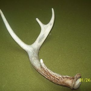 3 Rd Shed