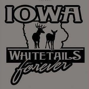 Iwf Logo2