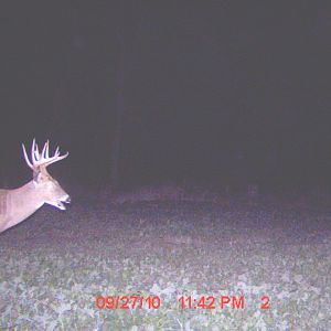 10217-trail Cam Early Oct 003