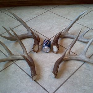 My Sheds And Pics