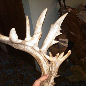 Massive Shed From 2010