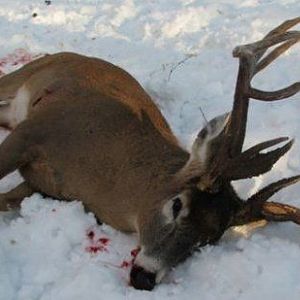 2009 ShotGun Kill!