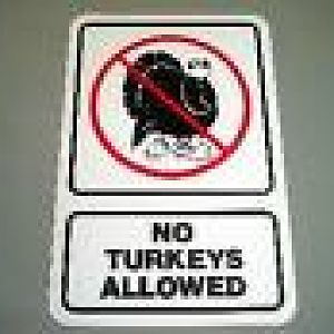 no turkeys