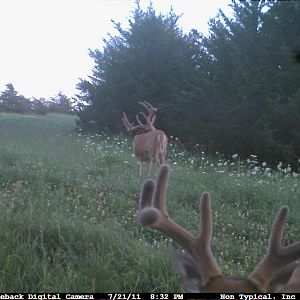 Another buck added to the "Rage list".