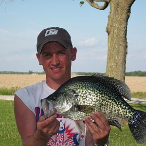 20 inch 4 lb  Black crappie