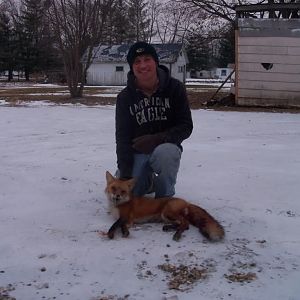 2011 fox