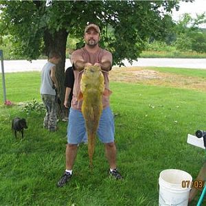 Big Flathead cat