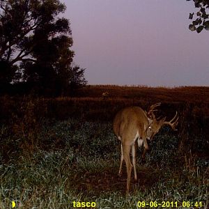 09 14 11 trail cam mike 089