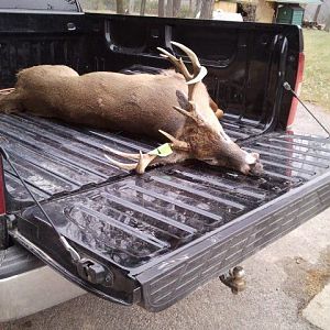 Tanner's 11 pnt Buck