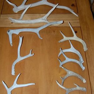 All of my AZ Sheds through the years.