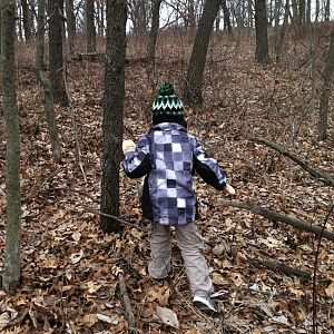 Tommy In The Woods