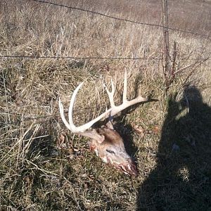 2012 sheds