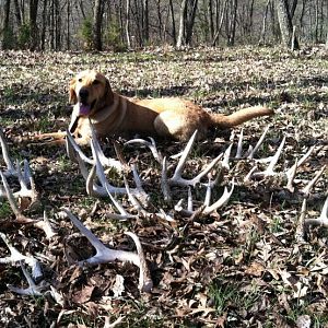 Otis with 3 25 12 Finds