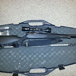 Gun, case, scope, sling all for sale