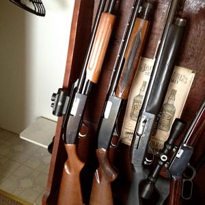 Moss burg 20 gauge slug gun. Winchester 1200. Remington sportsman 58 auto. And Winchester lever action 22