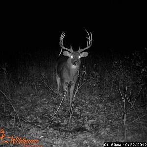 field cam 3 088