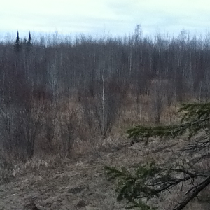 image 2597146331