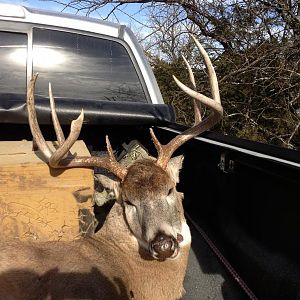 Buck in the Truck!