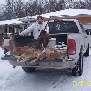 coyote killer