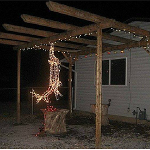 deer christmas lights