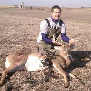 8pt 2012