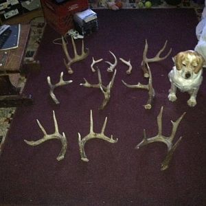 all my sheds 1st to last