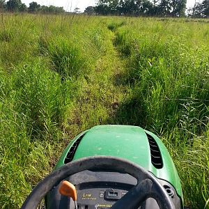 mowing paths