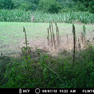 illinois property 071