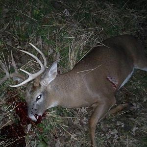 2012 bow kill