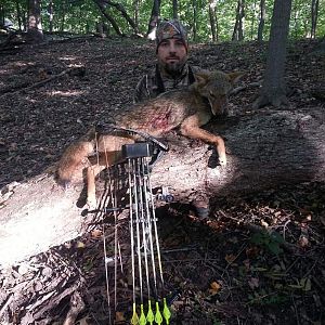 2013 Coyote