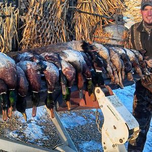 -3° in the am, 5° as a high... 28 ducks, 1 goose