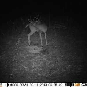 Another young buck with a promising future...