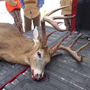 2013 shotgun buck