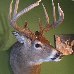2013 mount right side