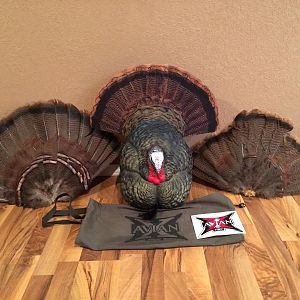 Avian X Strutter. I bought it last season and hunted with it for 2 hours. I am offering to throw in a real fan. Either a tom or jake fan. 
 Asking $1