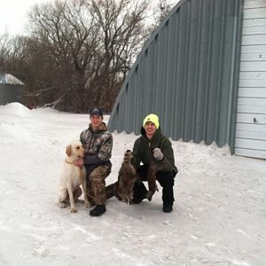 The dog that found the mink