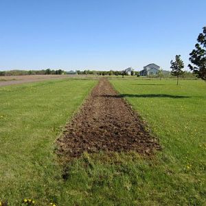 tilled strip