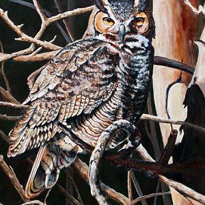 art.owl web