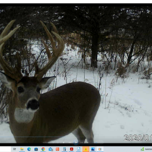 14 Pt Buck 1-20 Screenshot VideoB.png