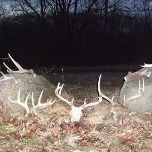 16598-shed Hunting 2
